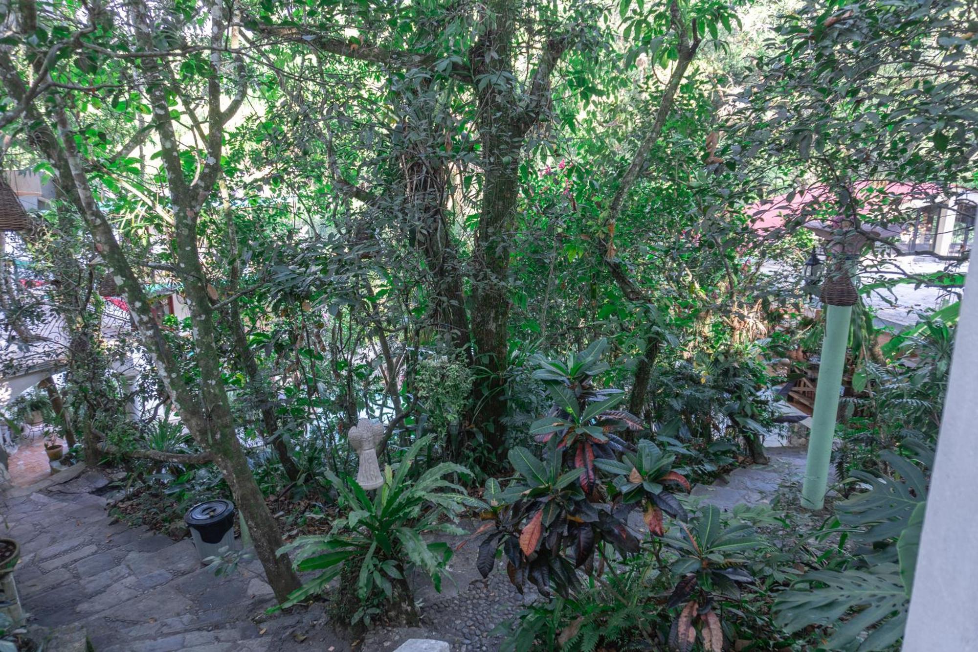 Hotel Paraiso Encantado Xilitla Εξωτερικό φωτογραφία